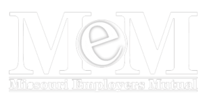Missouri Employers Mutual